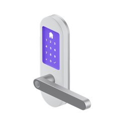 devices.types.openable.door_lock