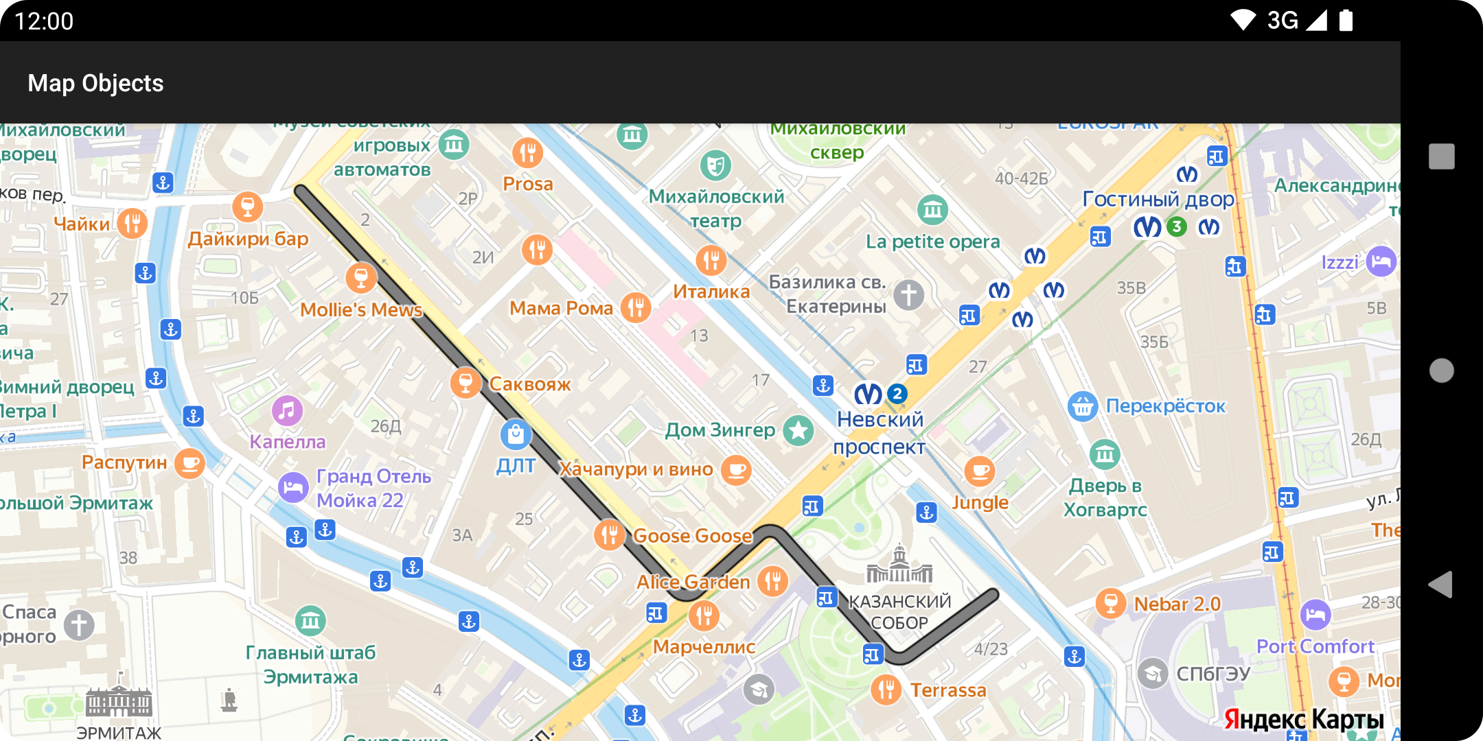Карта с добавленной полилинией