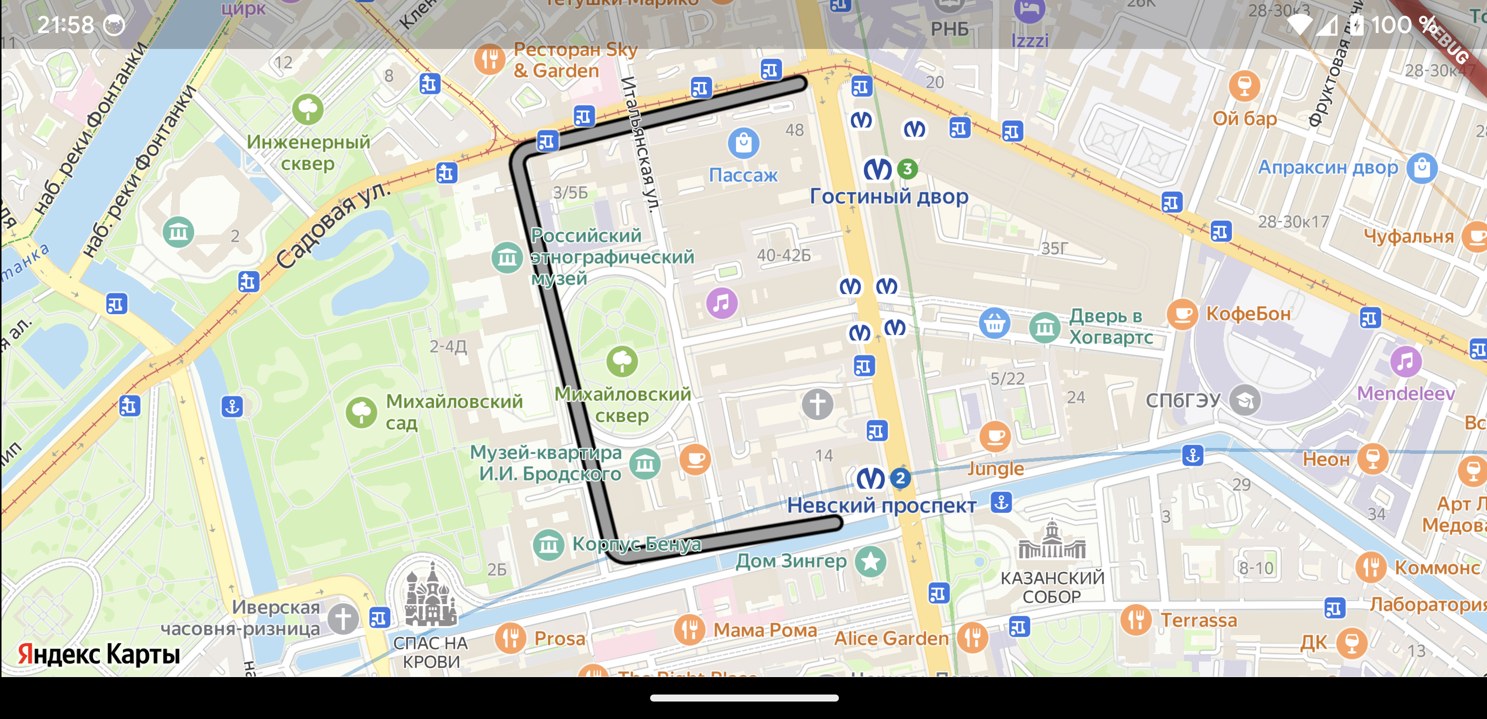 Карта с добавленной полилинией