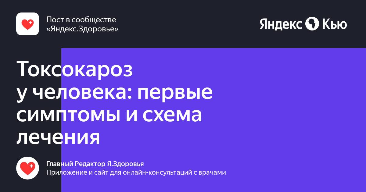 Токсокароз у взрослых и детей - симптомы и лечение