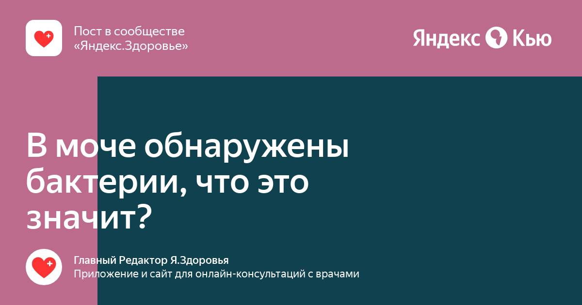 Инфекция мочевыводящих путей: как обнаружить и как вылечить