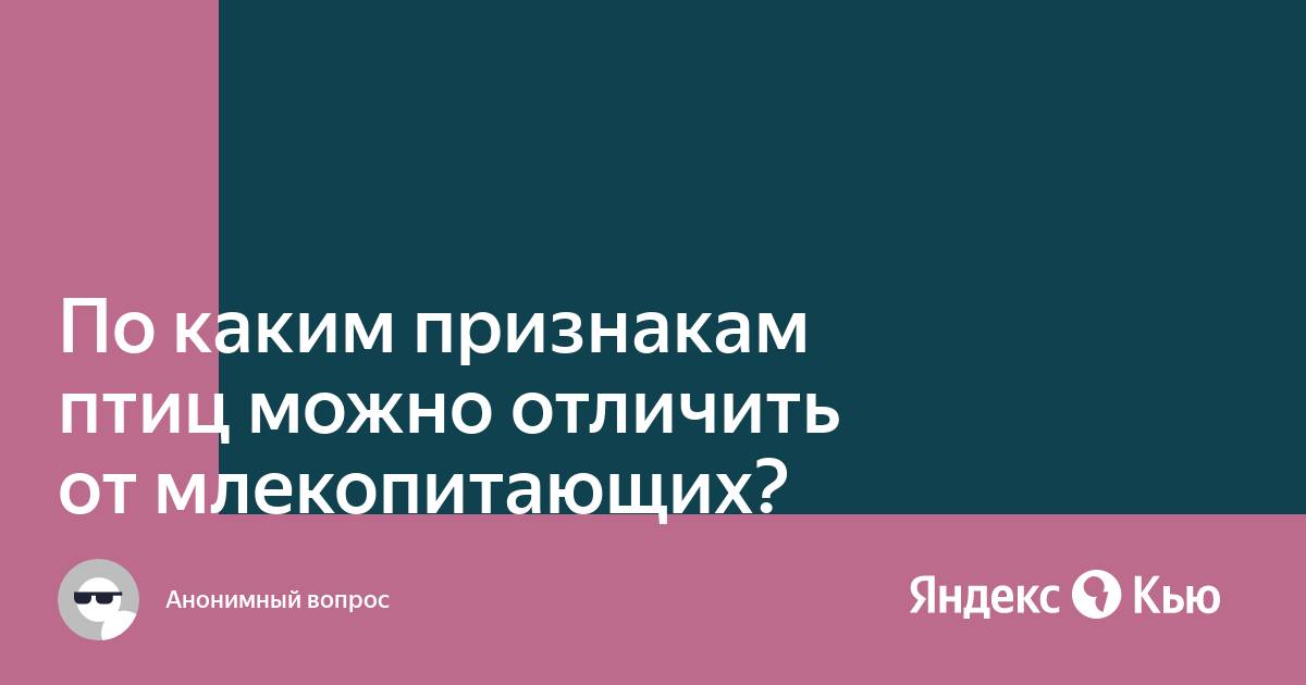 Какие признаки птичьего. Какие признаки птичьего