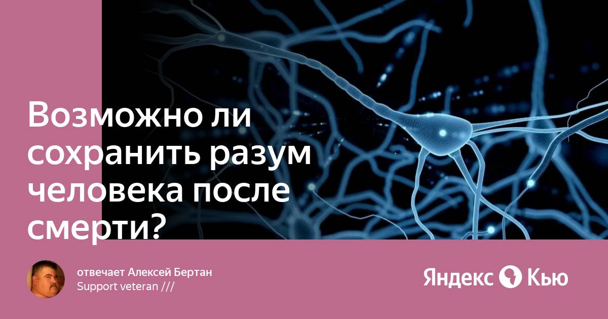 Сохранен разум. Релаксирующий мозг. Сохранение разума. Сохранен разум. Сохранен разум.