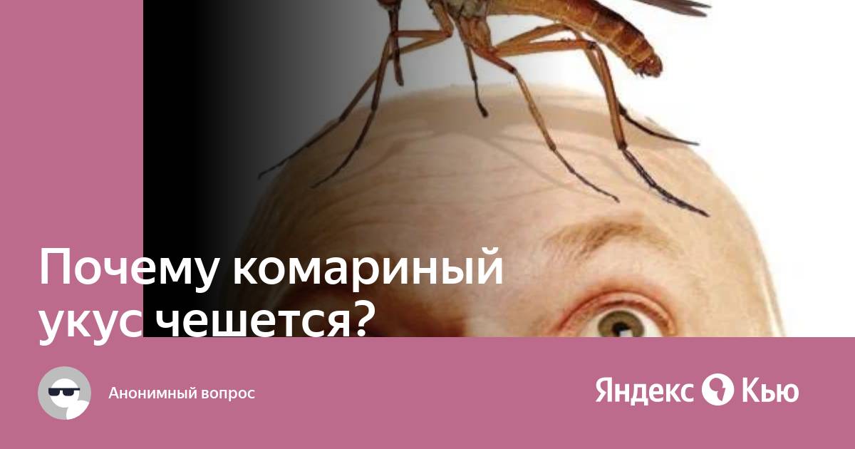 Почему когда комар кусает чешется. Почему комариные укусы чешутся. Красно оранжевое пятно от укуса чешется и болит.