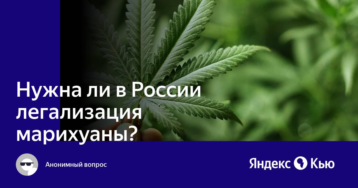 марихуана россия легализация