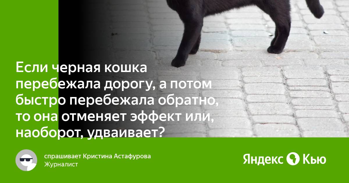 Если черная кошка перебежала дорогу, а потом быстро перебежала обратно, то  она отменяет эффект или, наоборот, удваивает?» — Яндекс Кью