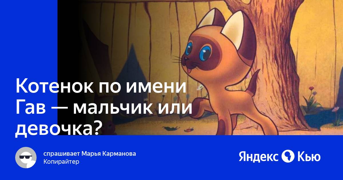 Ответы розаветров-воронеж.рф: Подскажите пол котенка, это мальчик или девочка? Фото