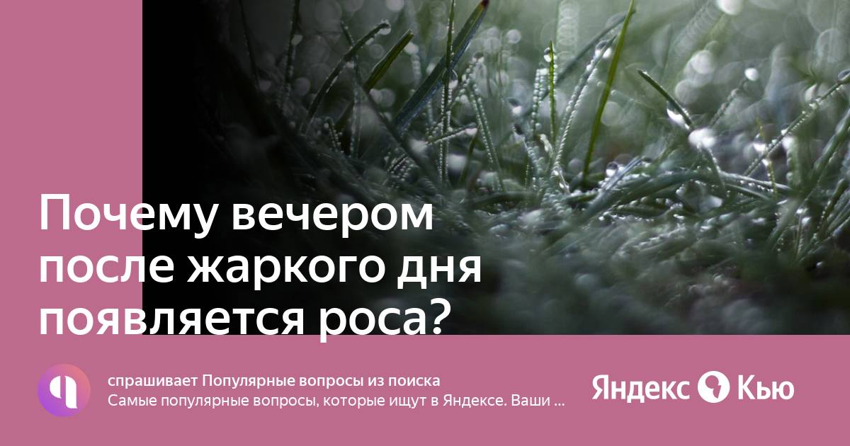 Почему после жаркого дня роса. Почему после жаркого дня роса