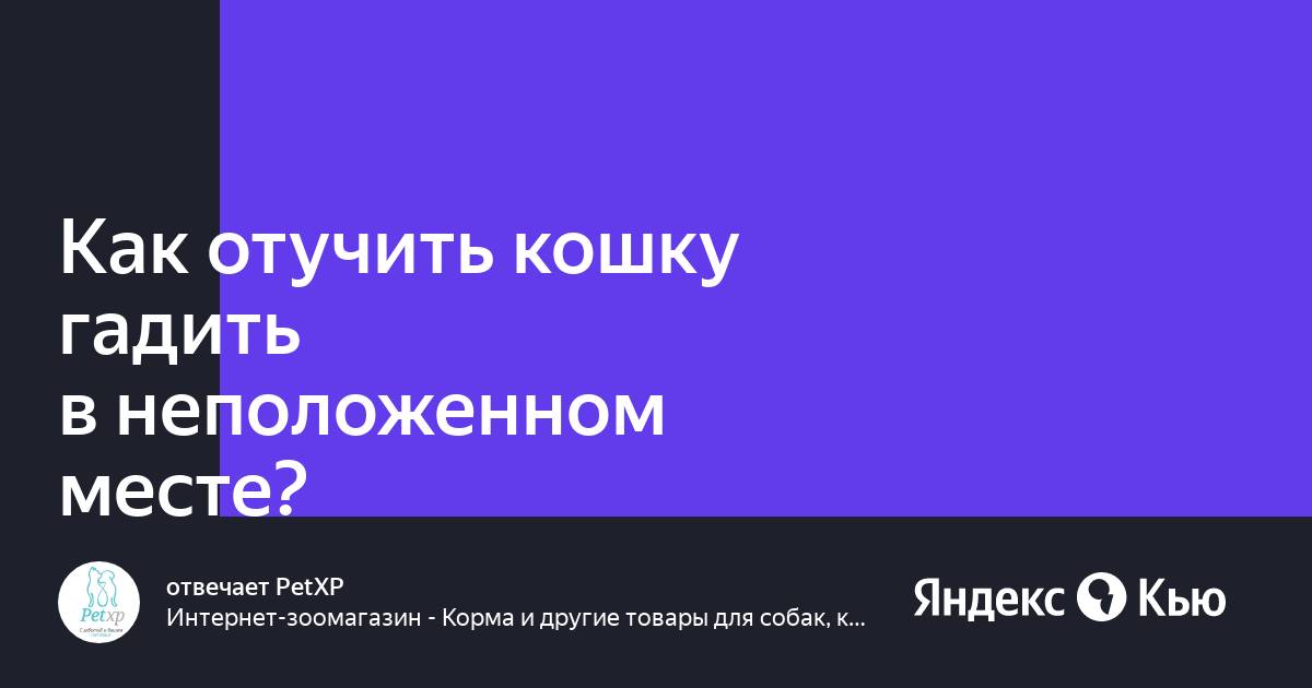 Как отучить гадить где попало. Как отучить кота гадить в неположенном месте. как отучить кошек гадить где попало в квартире.