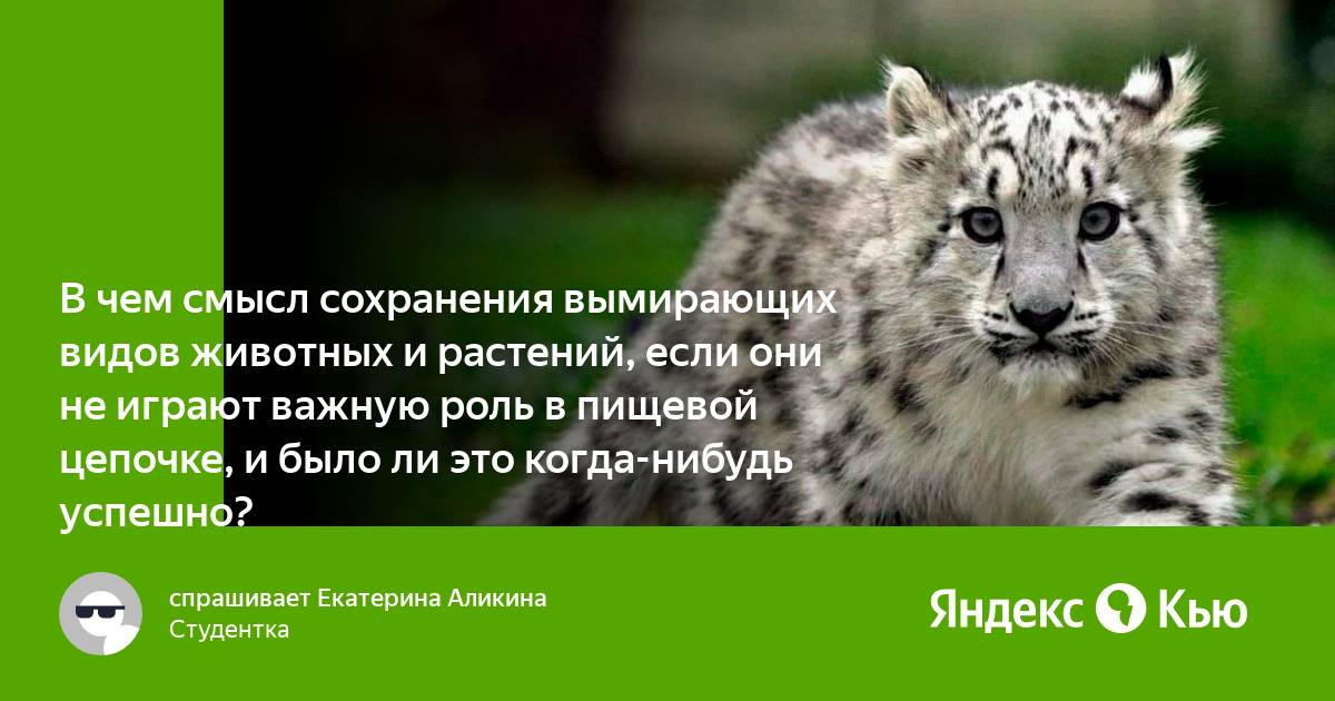 В смысле сохранилась