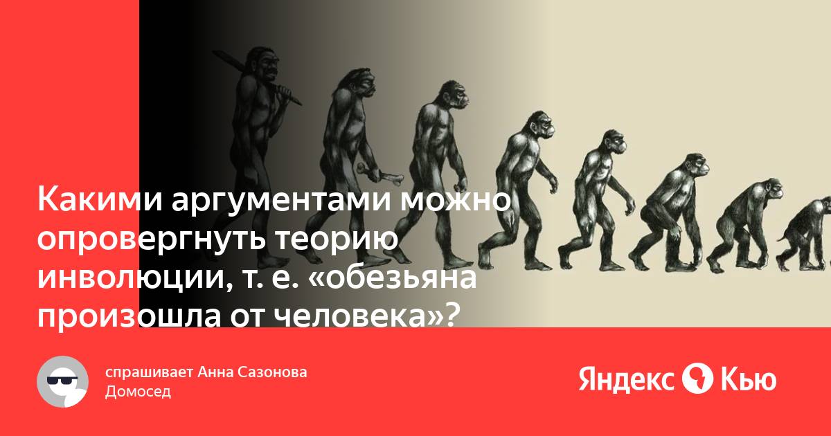 Правда ли что люди произошли от обезьян. Эволюция и инволюция. Инволюция человека. От кого произошли обезьяны. Обезьяны произошли от евреев.