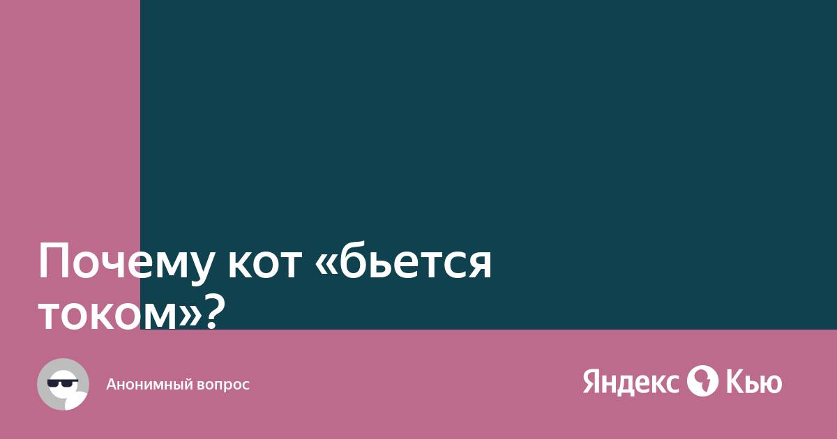 Почему кот бьется током?» — Яндекс Кью