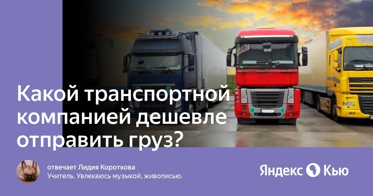 Фура деловые линии. Транспортная компания cargo transport logistics. Транспорт логистика. Какую транспортную компанию выбрать. Грузовик на дороге.