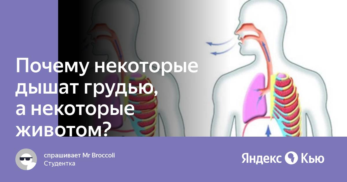 Некоторый дышать. Вдох выдох. Выдох человека. Вдох человека. Глубокий выдох у человека.