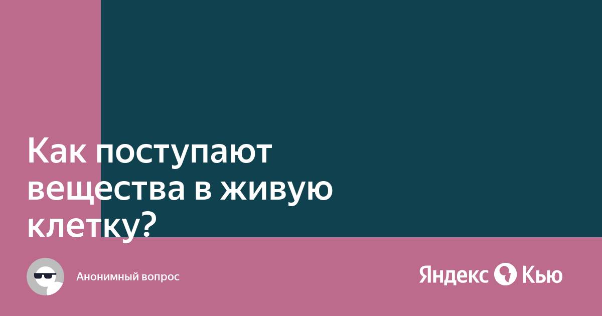 Почему как поступают вещества в живую клетку. Как поступают вещества в живую клетку.