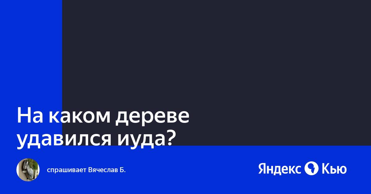 На каком дереве удавился иуда. На каком дереве удавился иуда
