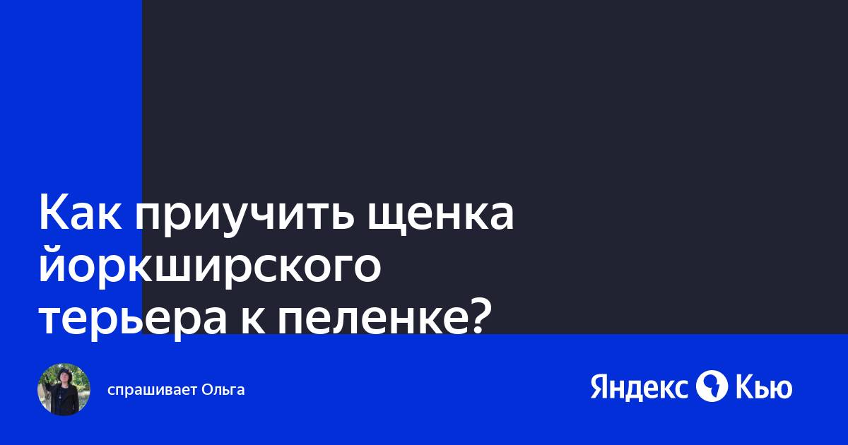 Как эрика приучить к пеленке