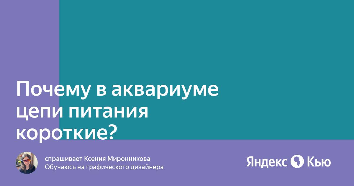 Болезни аквариумных растений: причины появления, лечение