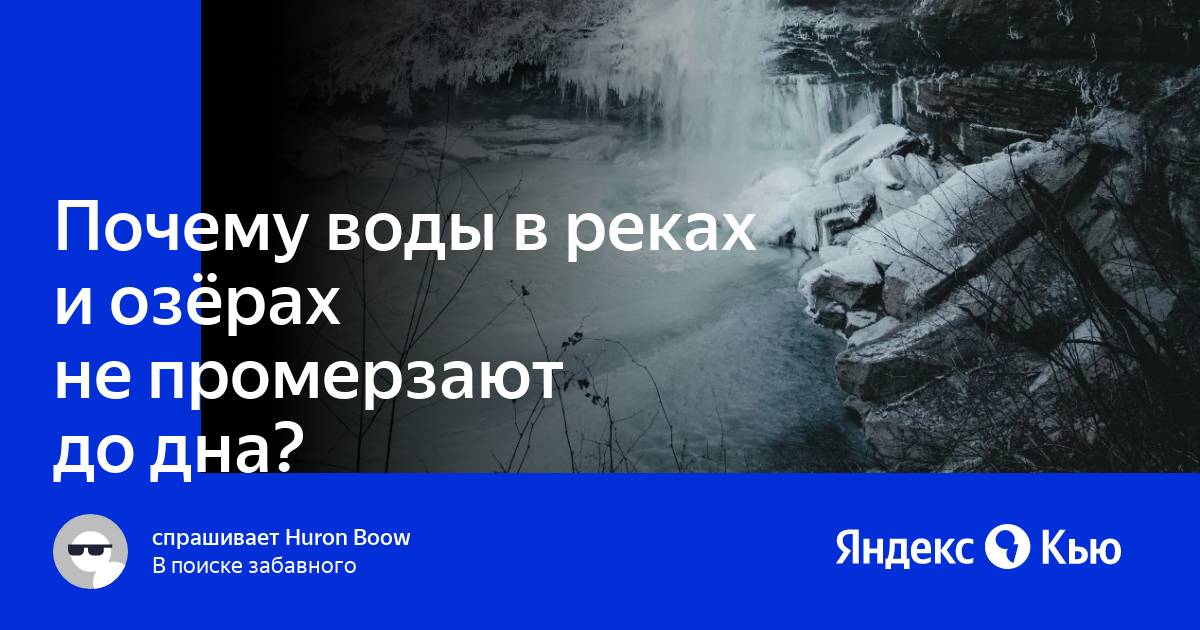 Как решить проблему заморов рыбы в водоемах - Российская газета