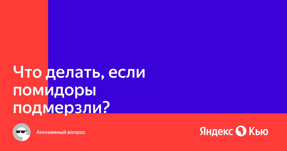 «Что делать, если помидоры подмерзли?» — Яндекс Кью