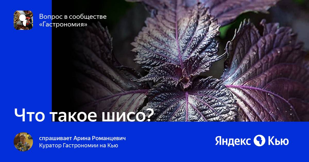 Момо персик. Есино шисо. Есино шисо. Есино шисо. Соус соевый шисо.