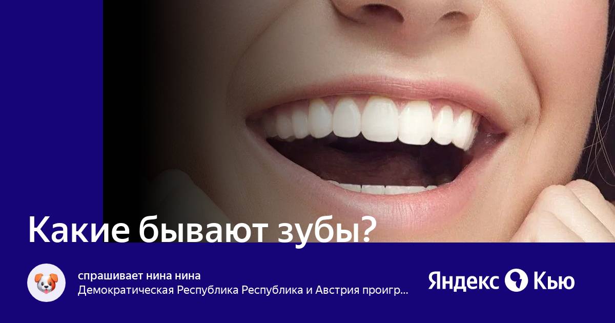 Какие бывают зубы фото