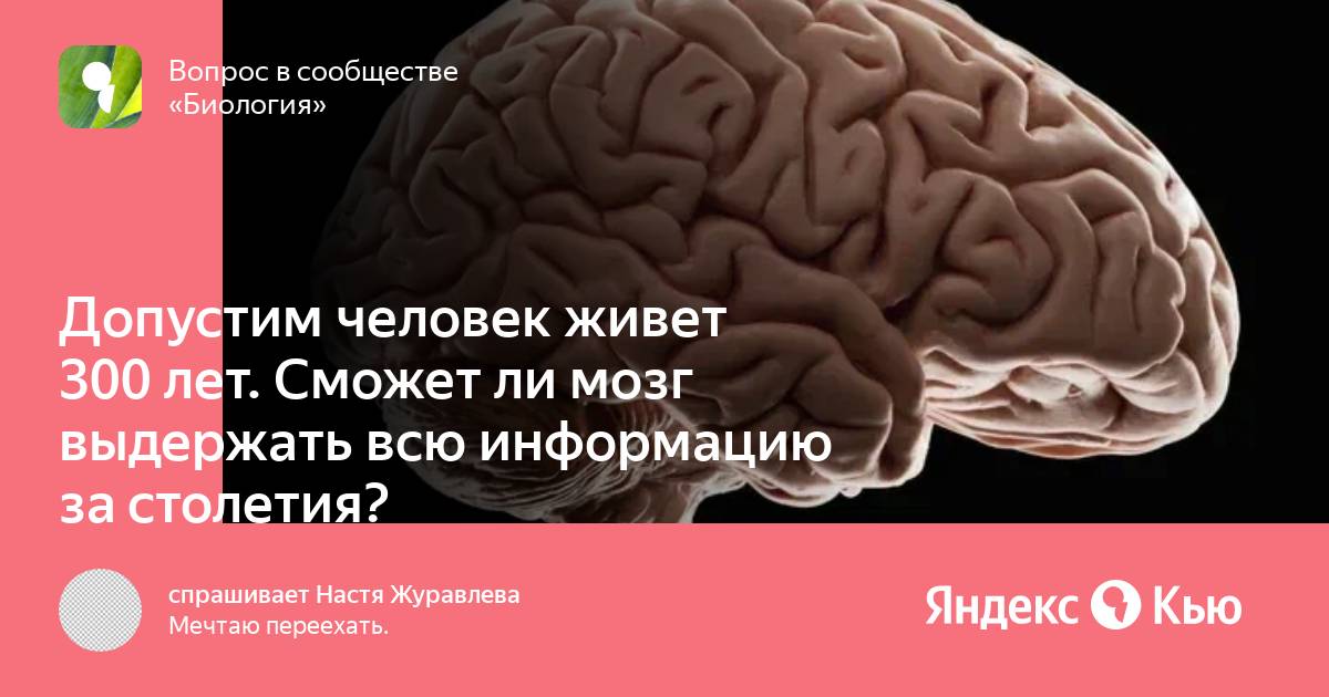 Brain задачи. Свободный мозг. Мозг усваивает знания. Опыт с человеческим мозгом. Лечиться ли большой мозг.