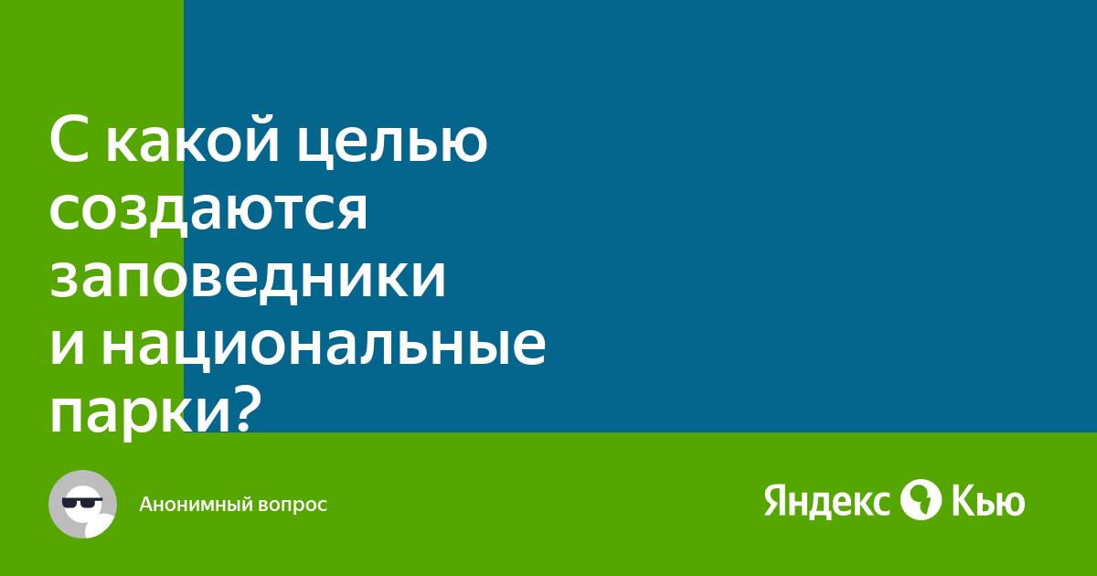 С какой целью создавался проект нового союзного договора