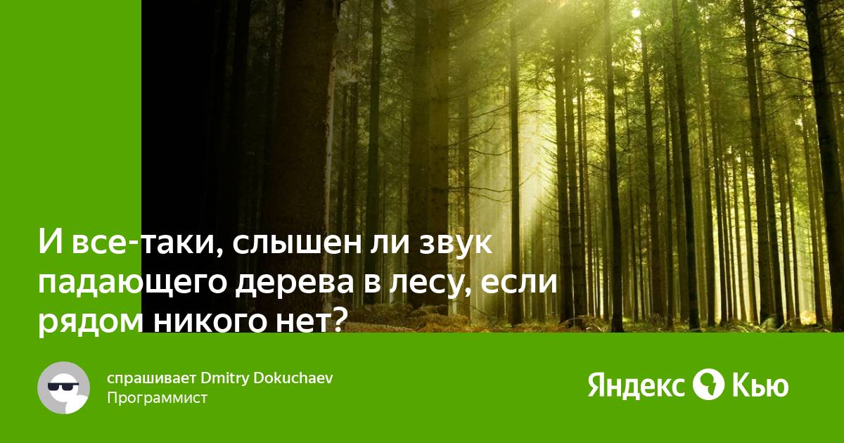 Звук падающего дерева в лесу. Слышен ли звук падающего дерева в лесу если рядом никого нет.