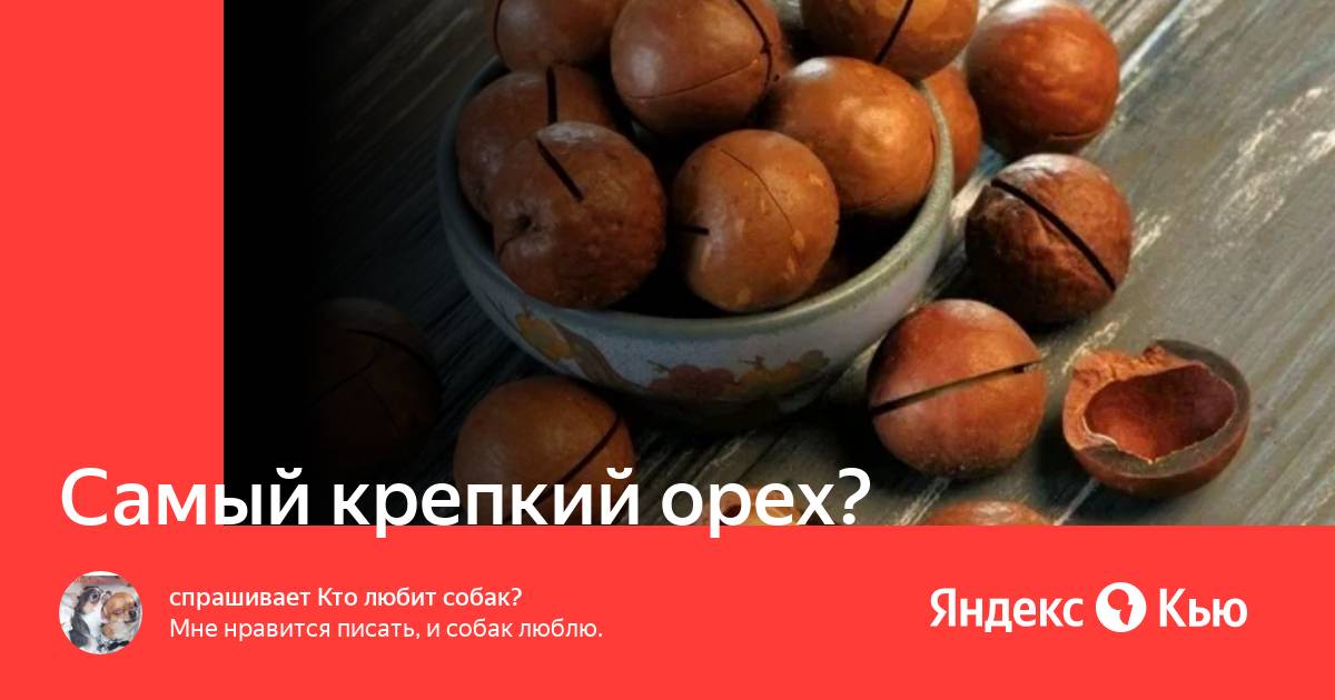 Самый крепкий орех?» — Яндекс Кью