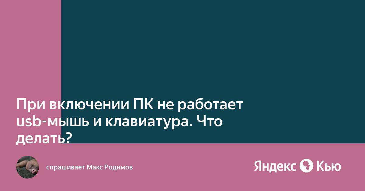 При включении флешки не работает мышь