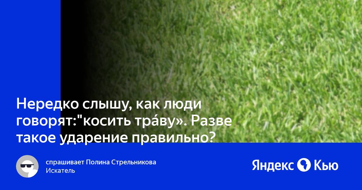 Трава ударение падает. Траву ударение. Траву или траву ударение как правильно. Косить траву ударение в слове траву. Шелковая трава ударение.