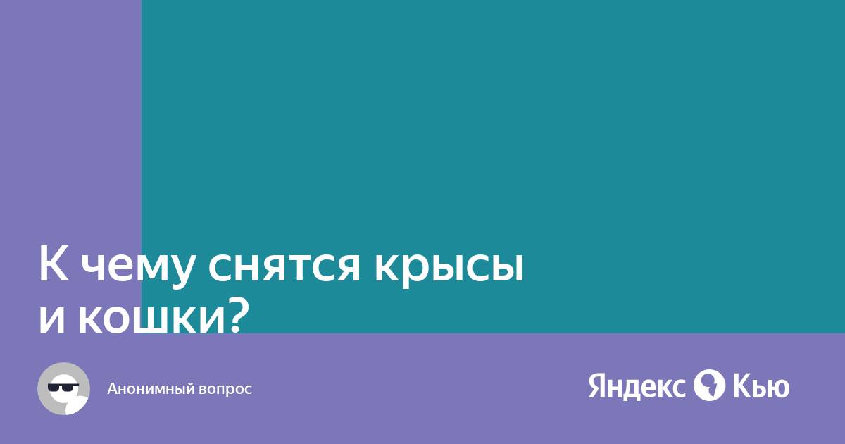 К чему снятся крысы и кошки?