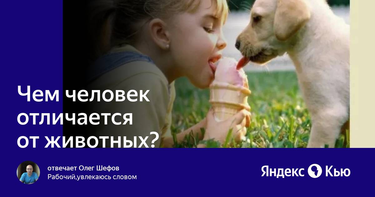 Качеством человека отличающим его от животных является. Качеством человека отличающим его от животных является