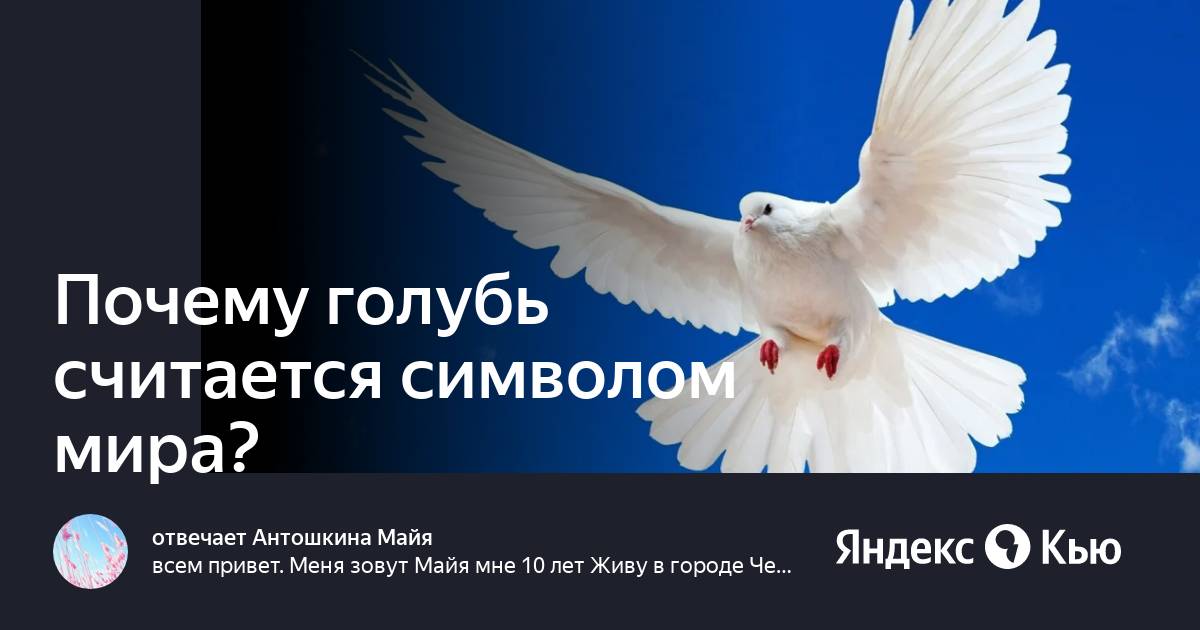 Почему голубь символ 9 мая. Белые голуби считается атрибутом 9 мая.