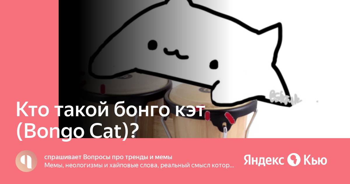 Кот стучит по столу