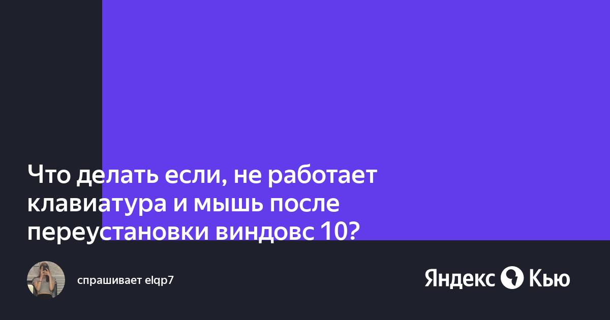 После переустановки виндовс не работает мышь и интернет