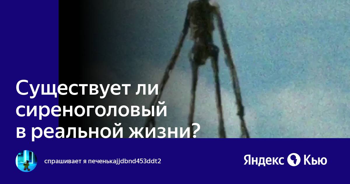 Существует этот сиреноголовый. Сиреноголовый в реальной жизни. Сиреноголовый страшилка. Сиреноголовый в рялное жизни. Бывает ли сиреноголовый в реальной жизни.