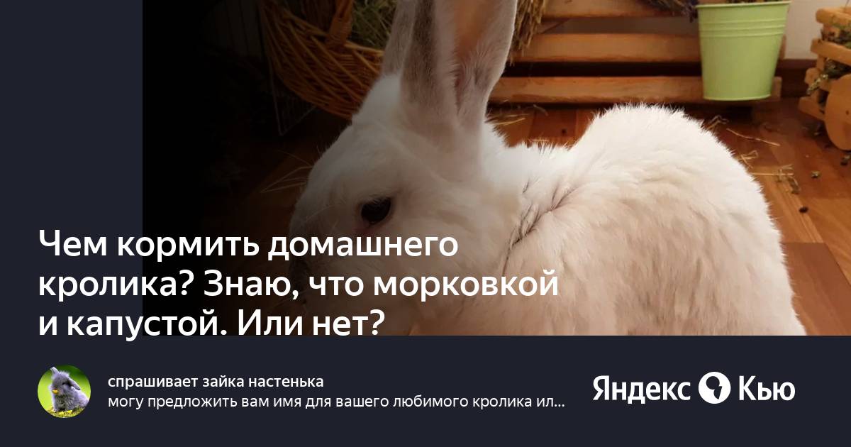 можно ли кроликам морковку