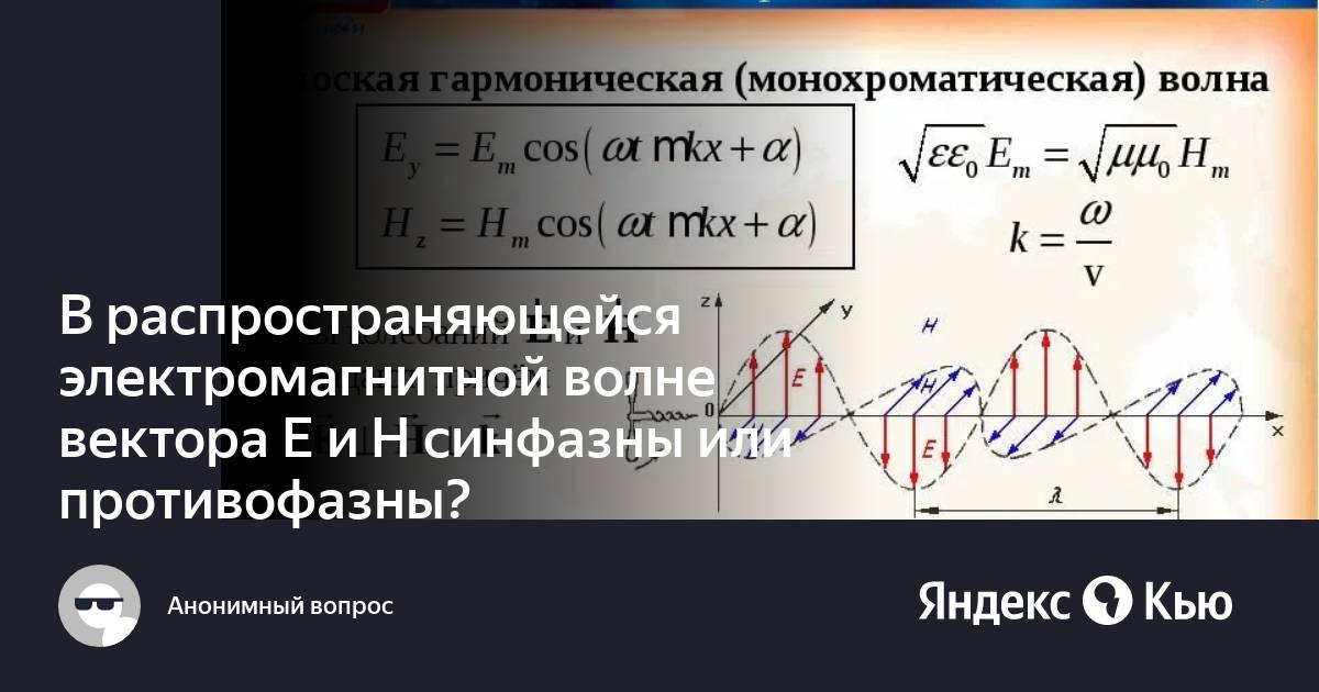 В электромагнитной волне вектор в