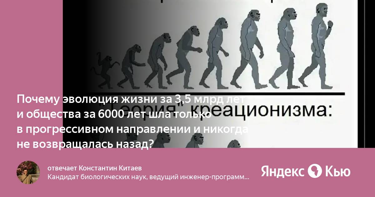 Эволюция в вопросах и ответах презентация ответы