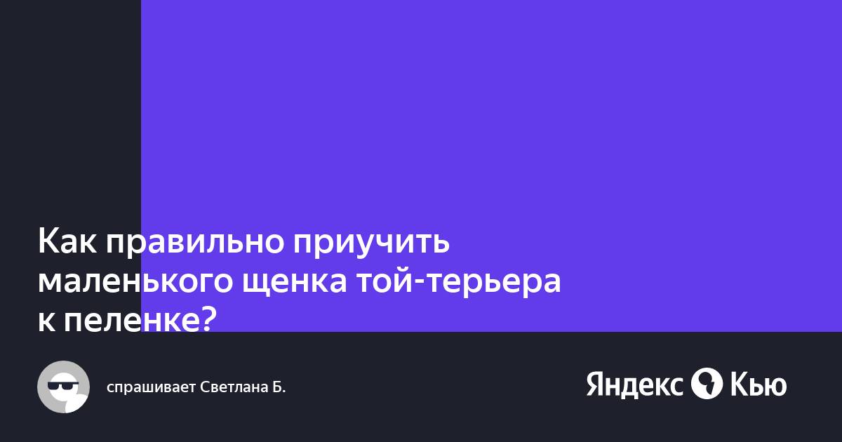 Как эрика приучить к пеленке