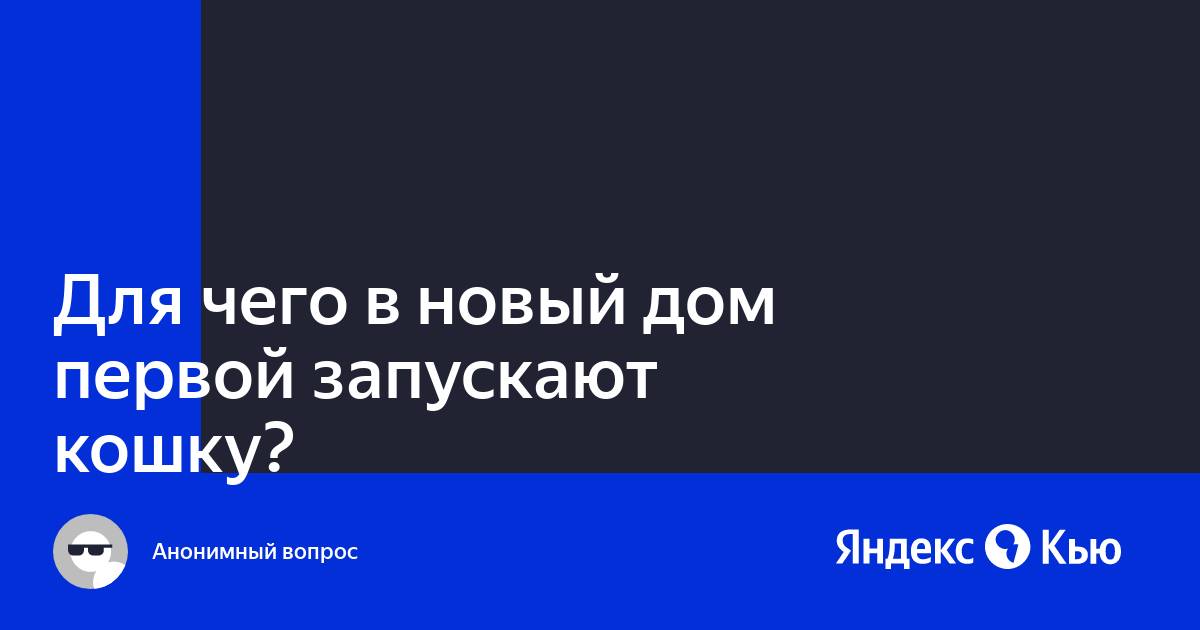 Почему кошку первой пускают в новый дом и квартиру при переезде