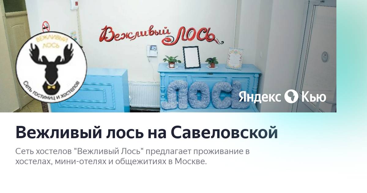 Вежливый лось добрый вечер. Вежливый лось. Вежливый лось. Лось в одежде. Вежливый лось.